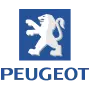 Vehicle brand